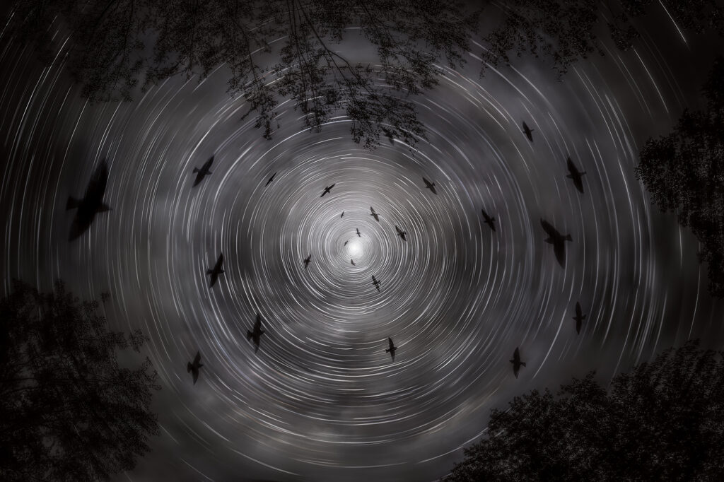 Night Flight