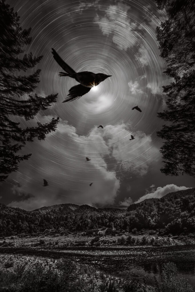 Trinity Night Flight
