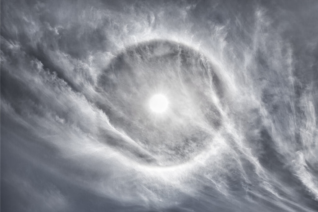 Veil in Motion