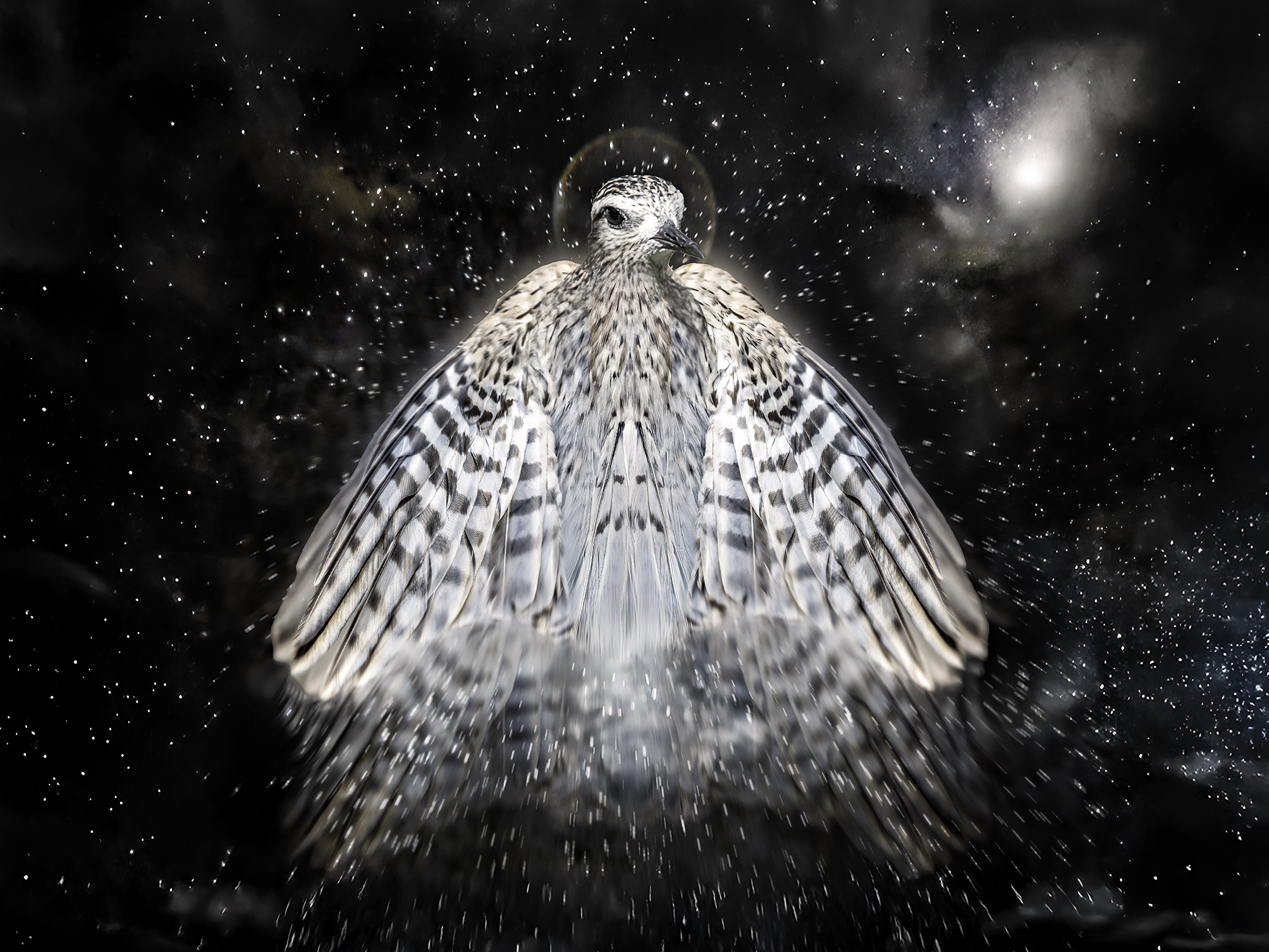 Winged Spirit
