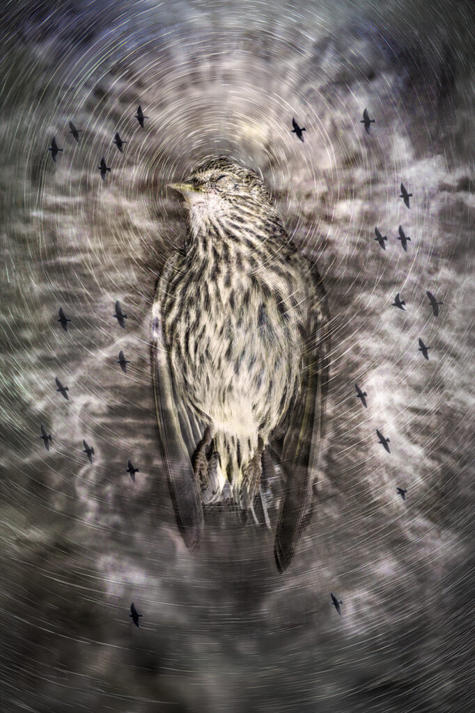 Dreaming After Death