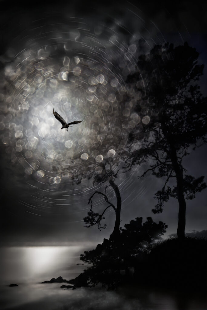 Flight Path to the Moon