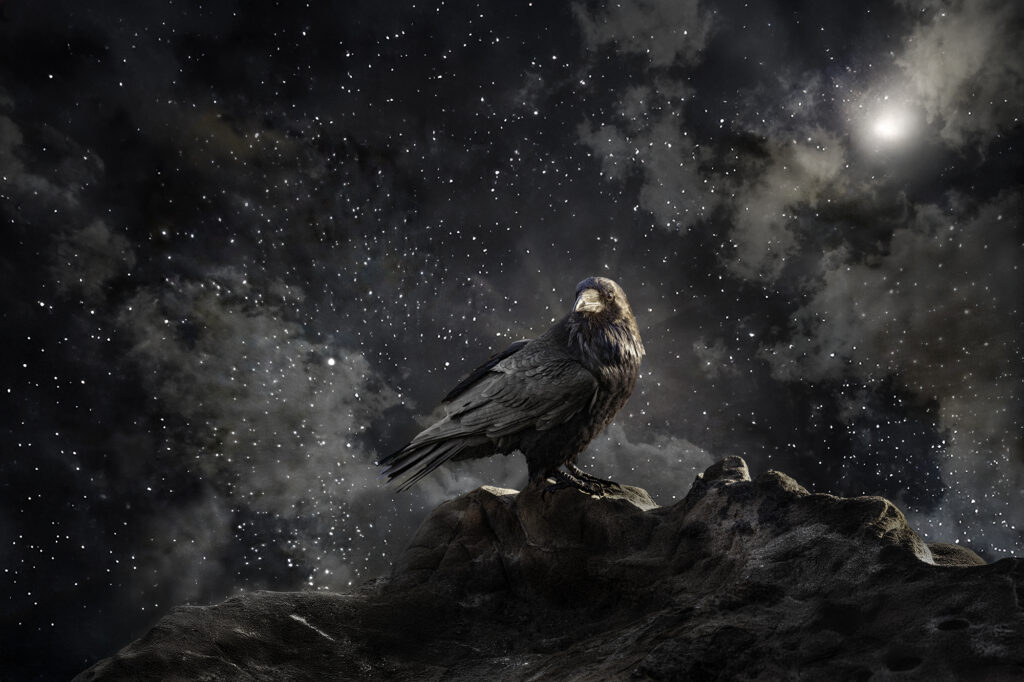 On the Edge of the Universe