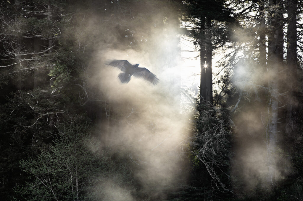 Passing Through the Veil