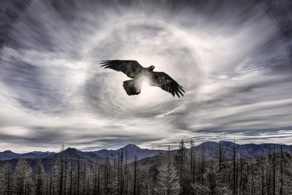 Raven Manifestation at Bear Basin Butte