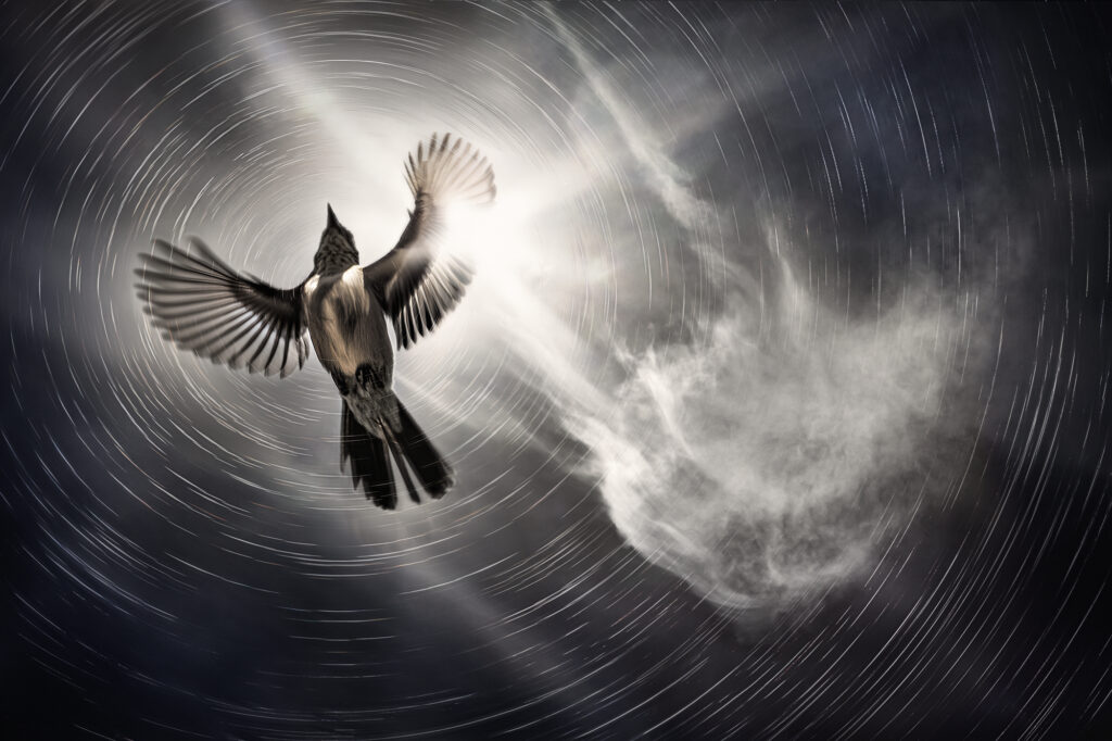 Rising Above the Darkness