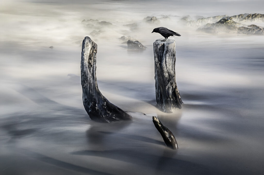 Tidal Witness