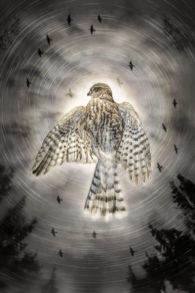 Transcendence